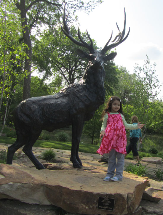 Yaya and an elk in Elkhart