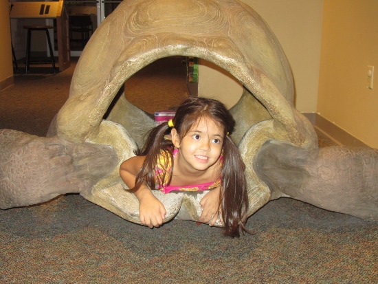 Yaya in a large turtle shell