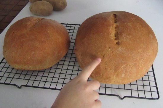 Yaya pokes the bread