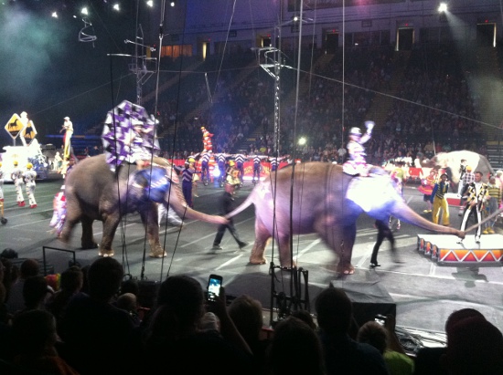 More elephants