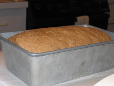 Dough in loaf pan