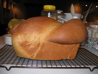 Molasses Wheat Bread, baked