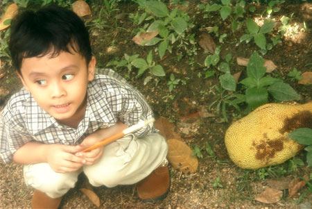 Irfan and the Fallen Jackfruit