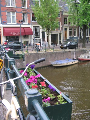 Dreaming of Amsterdam