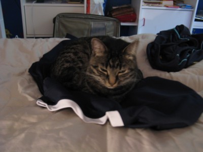 What? What's wrong with sleeping on this shirt? It's ready for the laundry, right?