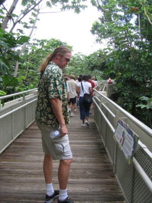 Vin reading a sign on the canopy walkway