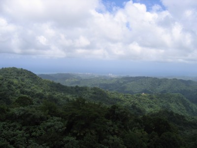 View from Yokahu Tower