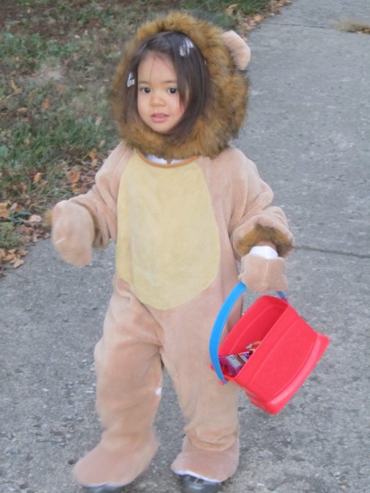 Lioncub with full bucket of candy