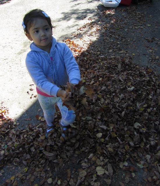 Throwing leaves around