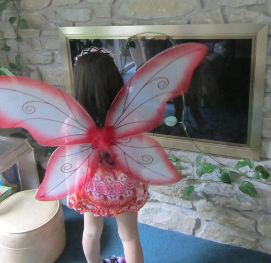 Admiring her wings in the "fireplace mirror"