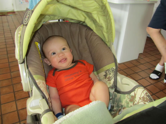 Happily hanging out in the stroller