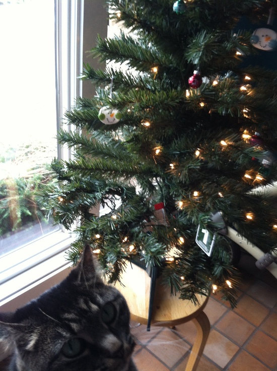 Luckily it came pre-lit. Lily was very curious about the tree