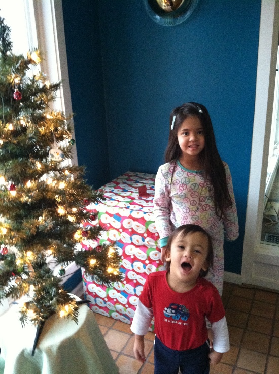 Yaya and Adik are crazy about the big wrapped box by the tree!