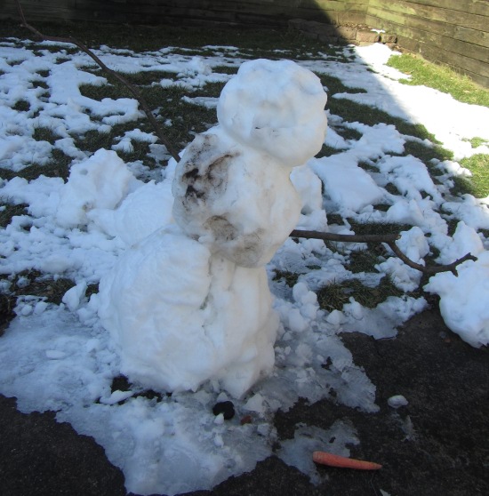 Carrot on the ground! The snowman's face has melted!