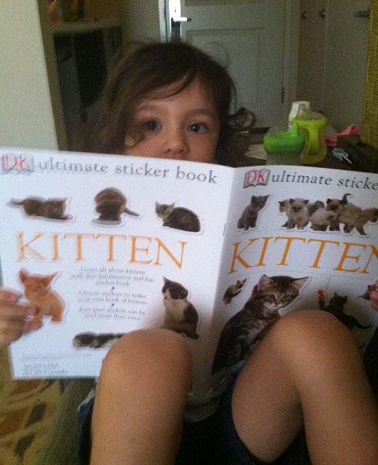 New Kitten sticker book!