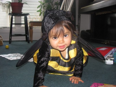 Buzzy Bee Baby