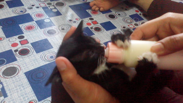 Betty loves milk