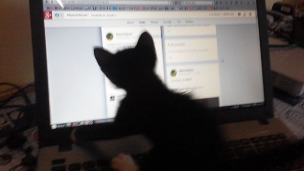 Betty loves Google+