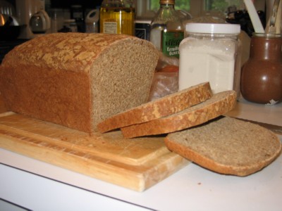 Sprouted Wheat Bread, 1st Try