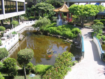 Koi pond in the courtyard