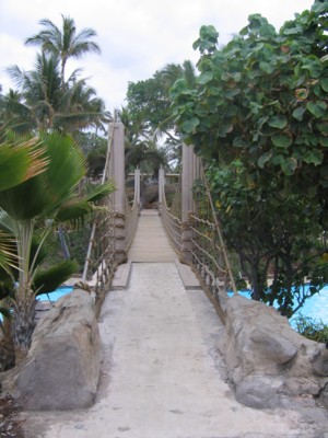 Rope bridge over a section of the pool