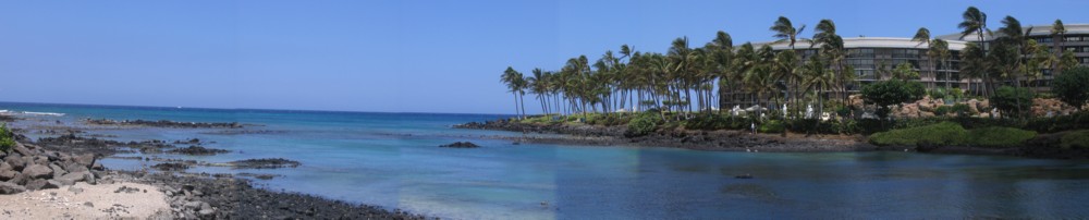 Ocean view in Waikoloa