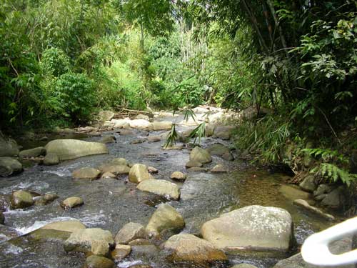 The natural stream across the mountain path
