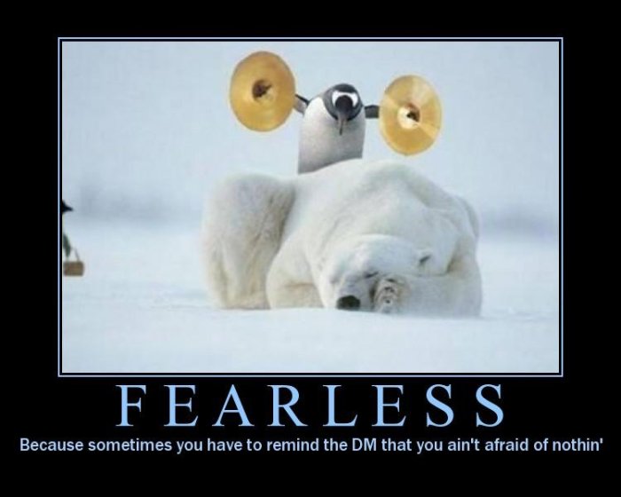 The fearless penguin strikes