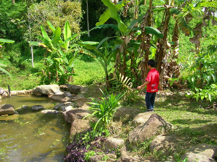 Irfan walking downstream looking for tadpoles