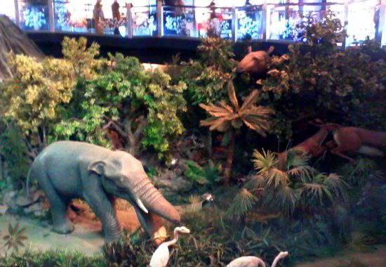 There's a platybelodon in here. I should say hi or something