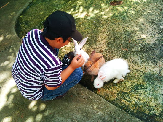 Irfan with rabbits