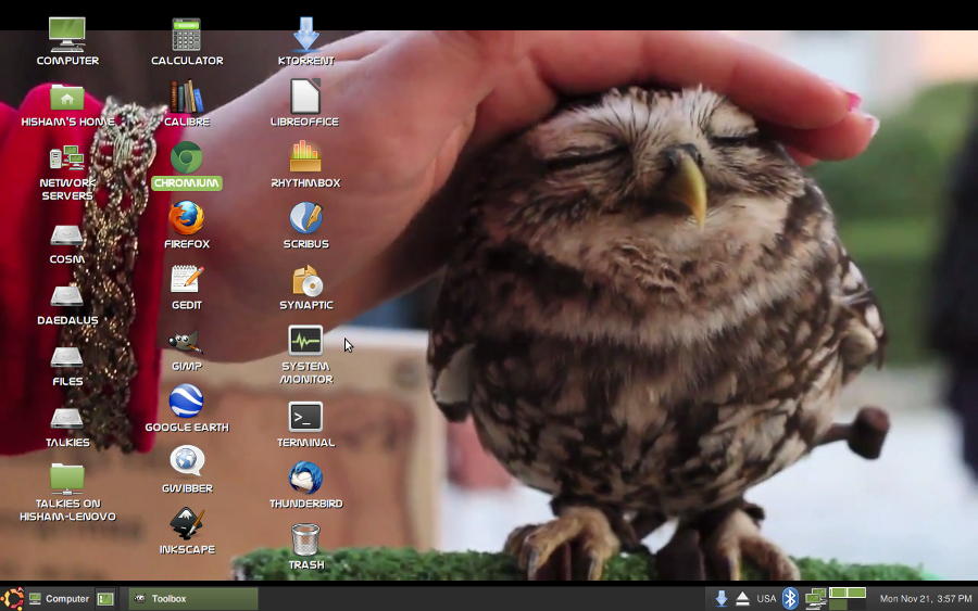 Desktop owl