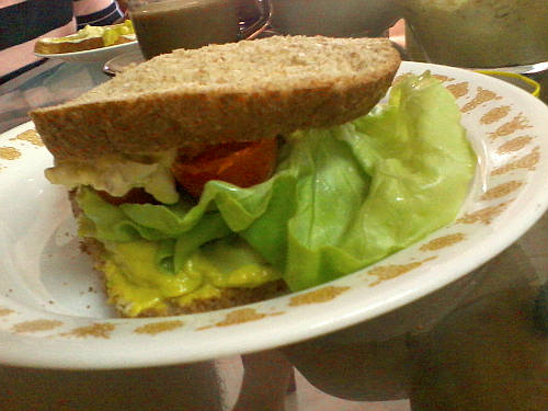 avocado-sandwich05