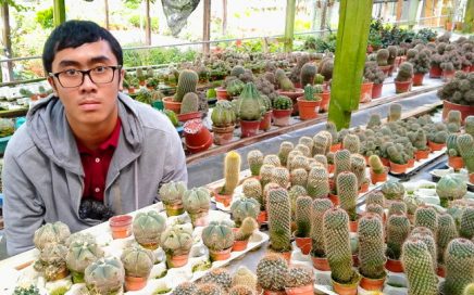 Irfan with cacti