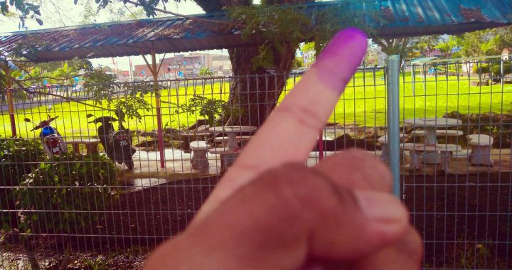 Purple voting finger