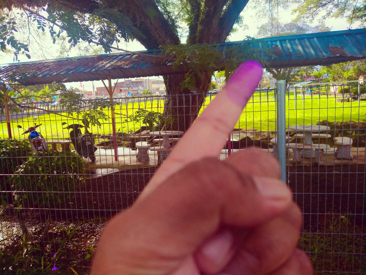 Purple voting finger